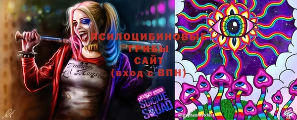 Альфа ПВП Белокуриха