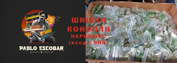 амф Богородицк